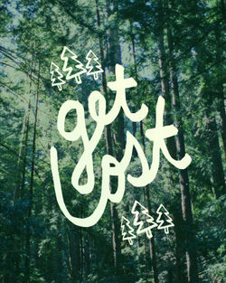 Get-lost-forest