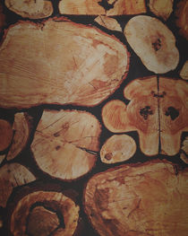 Lumberjack by Leah Flores