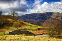 Cumbrian Landscape von Vicki Field