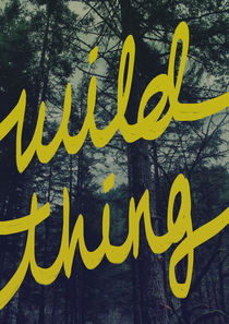 Wild Thing by Leah Flores