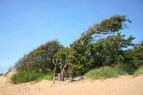 A rest in the dunes von Thomas Matzl