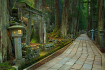 Path through Koyasan Okunoin cemetery, Wakayama Prefecture, Japan by Sara Winter