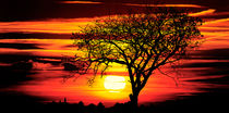 african sunset  von Jake Playmo