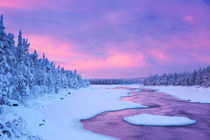 Sunrise over river rapids in a winter landscape, Finnish Lapland by Sara Winter