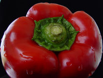 RED PEPPER by Juan Carlos Camelo