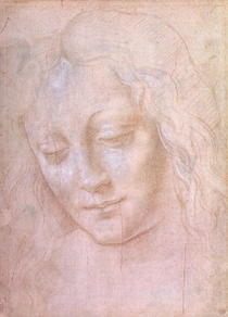 Kopf einer Frau  by Leonardo Da Vinci