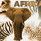 Africa-mg