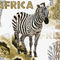 Africa-zebramg