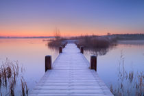 Boardwalk on a lake at dawn in winter, The Netherlands by Sara Winter