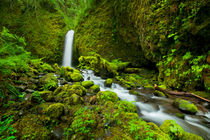 Remote waterfall in lush rainforest, Columbia River Gorge, Oregon, USA by Sara Winter