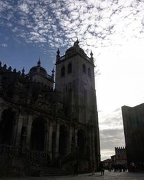 Cathedral... by Flavio Molina