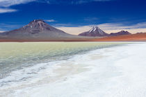 Desert lake Laguna Lejia, Altiplano, Chile on a sunny day by Sara Winter