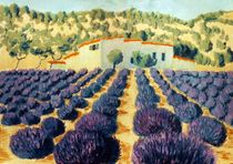 Lavendel der Provence by Johannes Rohen
