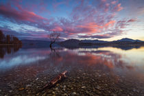 Sonnenaufgang am Lake Wanaka von Sebastian Warneke