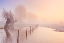 Foggy sunrise along a river, River Lek, The Netherlands by Sara Winter
