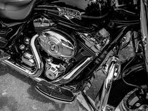 Harley Chrome von David Halperin