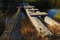 Improvised Wooden Bridge von Angelo DeVal