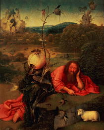 St. John the Baptist in Meditation  von Hieronymus Bosch