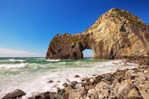 Natural arch on the rocky coastline of Izu Peninsula, Japan by Sara Winter