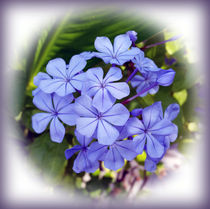 blue bouquet von feiermar