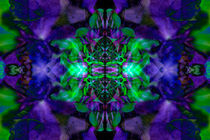 Kaleidoscope flower von Steve Ball
