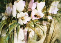 Weiße Tulpen in Vase -abstrakt von Chris Berger