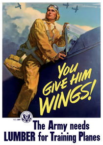 You Give Him Wings -- World War Two by warishellstore