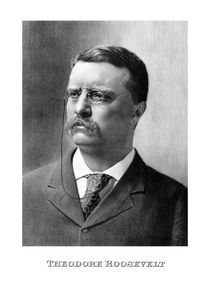 President Theodore Roosevelt von warishellstore