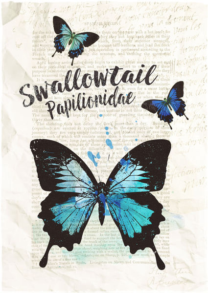 Swallowtail-c-sybillesterk