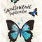 Swallowtail-c-sybillesterk