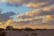 The Dune: Sea sunset by Zornitsa Yordanova