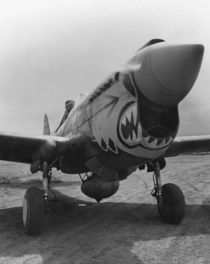 P-40 Warhawk  von warishellstore