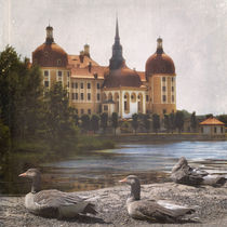 Die Gänse von Moritzburg by Chris Berger