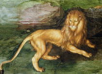 Lion  by Albrecht Dürer