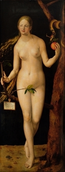 Eve by Albrecht Dürer