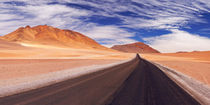 Desert road through the Altiplano, Chile, altitude 4700m by Sara Winter