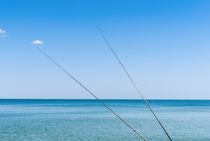 Fishing rods on the background of blue water by Serhii Zhukovskyi