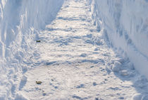 Cleared pass in deep snow von Serhii Zhukovskyi