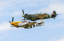 RAF Spitfire and USAF P51 Mustang by Chris Warham