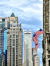 Chicago - Flags Along Michigan Avenue by Susan Savad