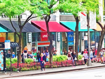 Chicago IL - Shopping Along Michigan Avenue von Susan Savad