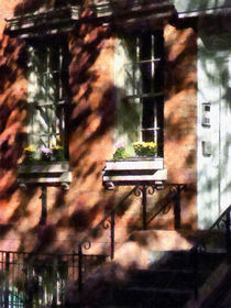 Window Boxes Greenwich Village by Susan Savad