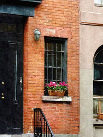 Chelsea Windowbox by Susan Savad