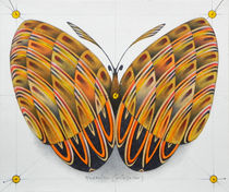 butterfly by federico cortese