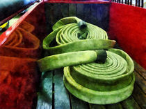 Fireman - Coiled Fire Hoses by Susan Savad