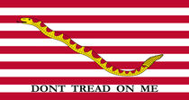 Don't Tread On Me -- First Navy Jack by warishellstore