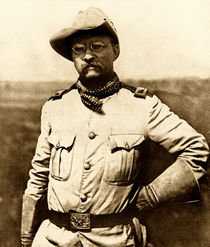 Colonel Theodore Roosevelt by warishellstore