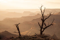 Grand Canyon, Arizona by Jan Schuler