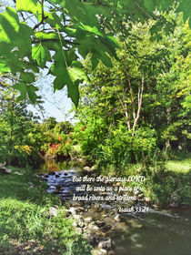 Isaiah 33:21 Broad Rivers and Streams by Susan Savad