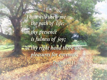 Psalm 16:11 Thou wilt shew me the path by Susan Savad